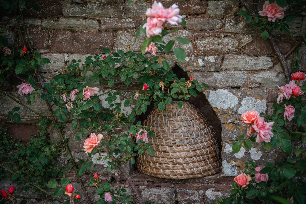 bee skeps in goodly garden